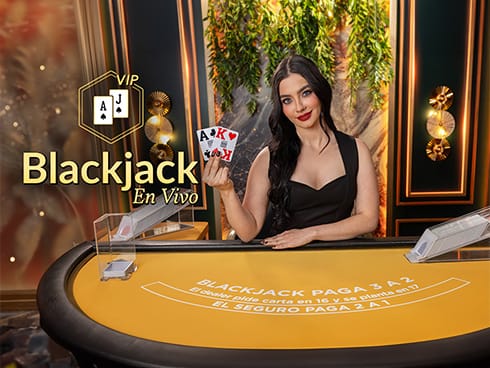 VIP Blackjack en Español 4 game icon